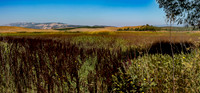 IMG_3983pano
