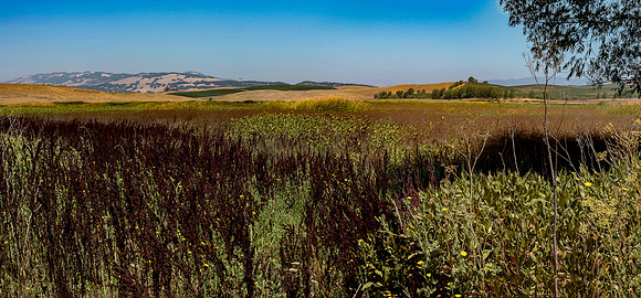IMG_3983pano