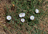 IMG_3991_1-Edit