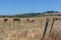 IMG_4001