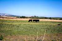 IMG_4007-Edit