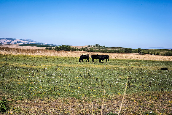 IMG_4007-Edit