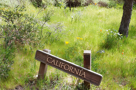 California Infastructure