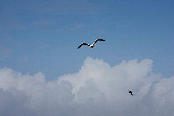 Above the Clouds