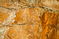 Minerals and Lichens