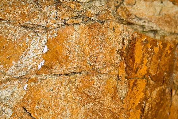 Minerals and Lichens