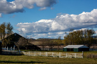 Landscape Collection