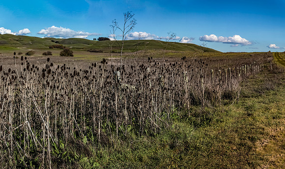 IMG_5654pano_1