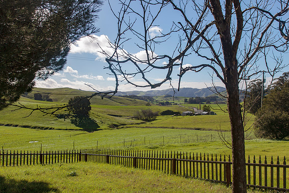Chileno Valley from Helen Putnam Park