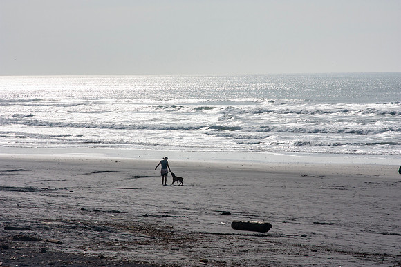 Ocean Beach
