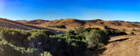 Golden Rolling Hills of California
