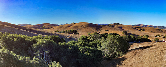 Golden Rolling Hills of California