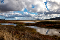 Shollenberger Park