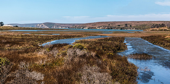 IMG_7186-Pano
