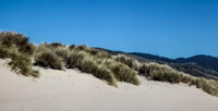 IMG_7259-Pano