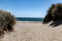 Limantour Beach access