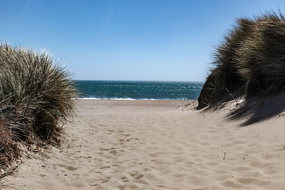 Limantour Beach access