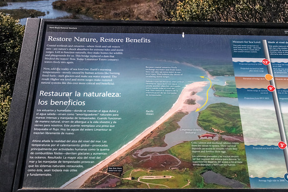 Limantour Estero