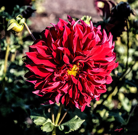 IMG_7492_water