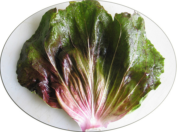 An other side of Radicchio