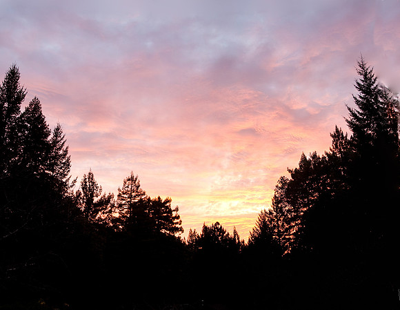 morning12-24-06
