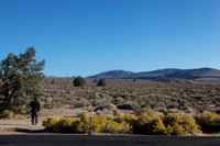 IMG_9301_dev