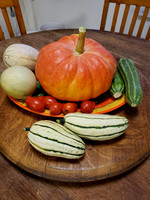 Squash and Pumpkins