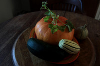 SQUASH & PUMPKIN