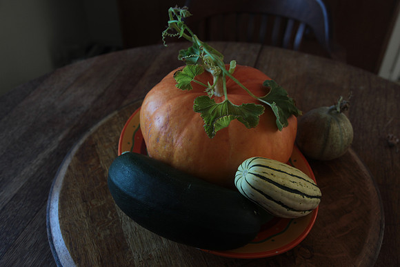 SQUASH & PUMPKIN