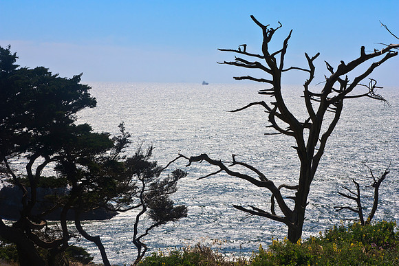 Lands End next to the Golden Gate in San Francisco.
