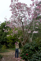 IMG_0669_dev