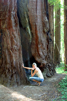 Eva Tree Petting