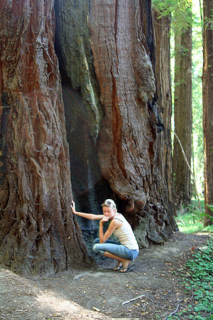 Eva Tree Petting