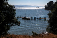 China Camp State Park