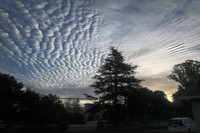 stratocumulus clouds