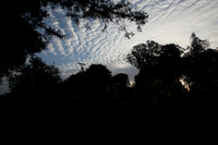 stratocumulus clouds