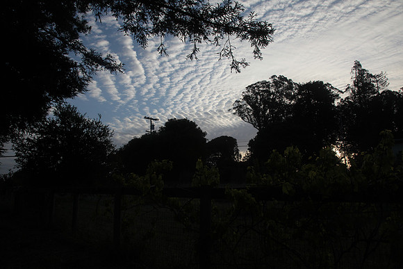 stratocumulus clouds