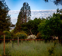 Clouds