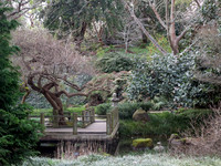 IMG_0672_crop